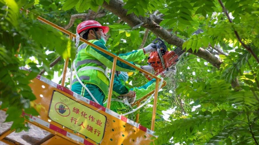 金坛万科二期绿化工程 金坛万科二期绿化工程